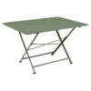 Table De Jardin 6 Personnes FERMOB Cargo 128 X 90 Cm - Cactus -Fermob Soldes Magasin cargo 128x90 cactus 1