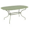 Table De Jardin Ovale 6 Personnes FERMOB Opéra + 160 X 90 Cm - Cactus 2 Table De Jardin Ovale 6 Personnes FERMOB Opéra + 160 X 90 Cm - Cactus -Fermob Soldes Magasin opera premium 160x90 cactus 1